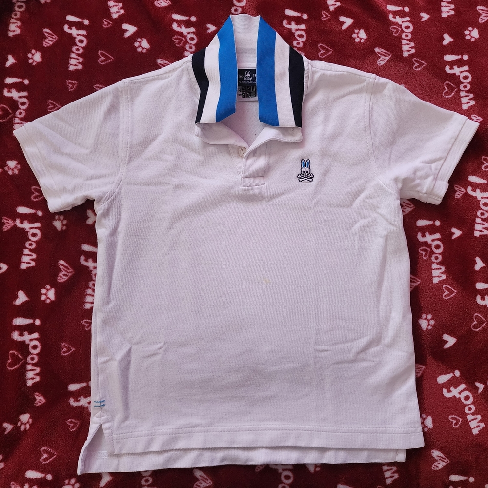 White Polo Shirt with Blue and Black Striped Collar